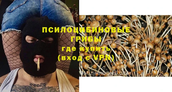 дмт Аркадак