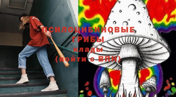 дмт Аркадак
