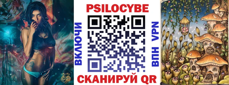 Псилоцибиновые грибы Psilocybe  кракен ссылки  Покровск 