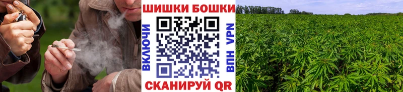 МАРИХУАНА AK-47 МЕГА зеркало Покровск darknet телеграм закладка